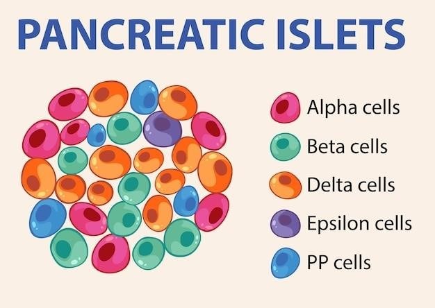 cells alive worksheet answer key pdf