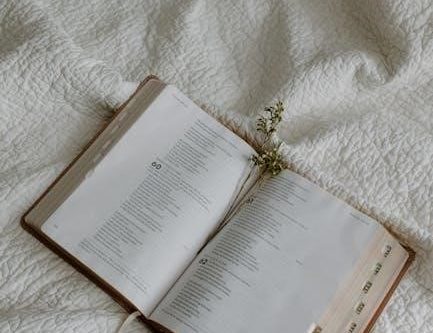 one year bible reading plan pdf 2023