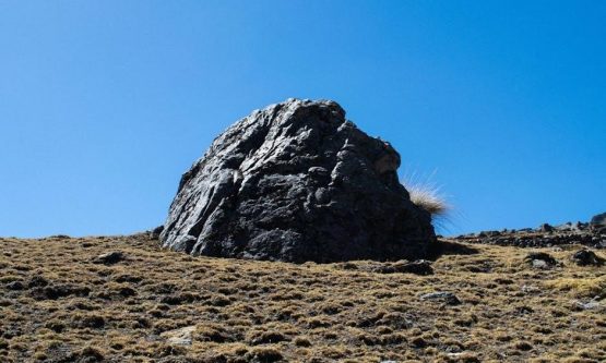 carrier apu owners manual