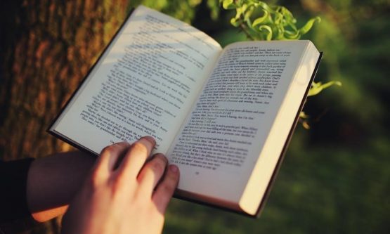 arguing about literature 3rd edition pdf free