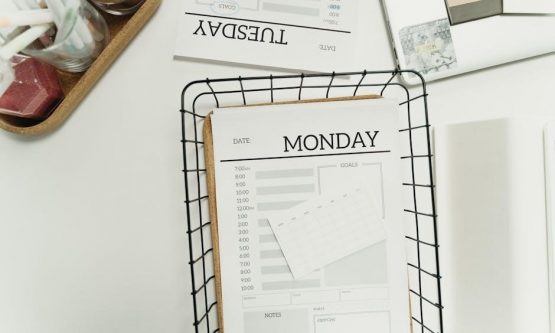 fitness planner pdf