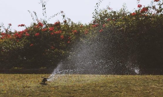 rain bird irrigation system manual
